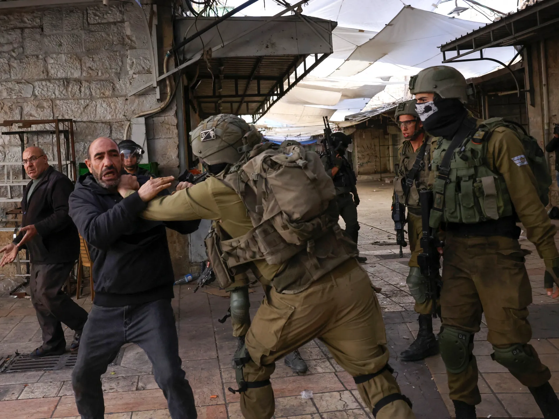 Israeli forces detain 12 Palestinians as olive trees are uprooted